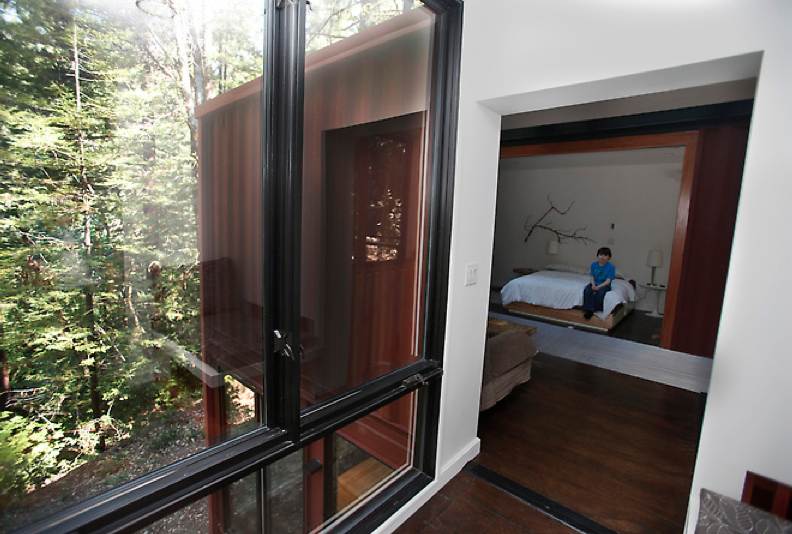 Containerhaus in den Redwoods (8)