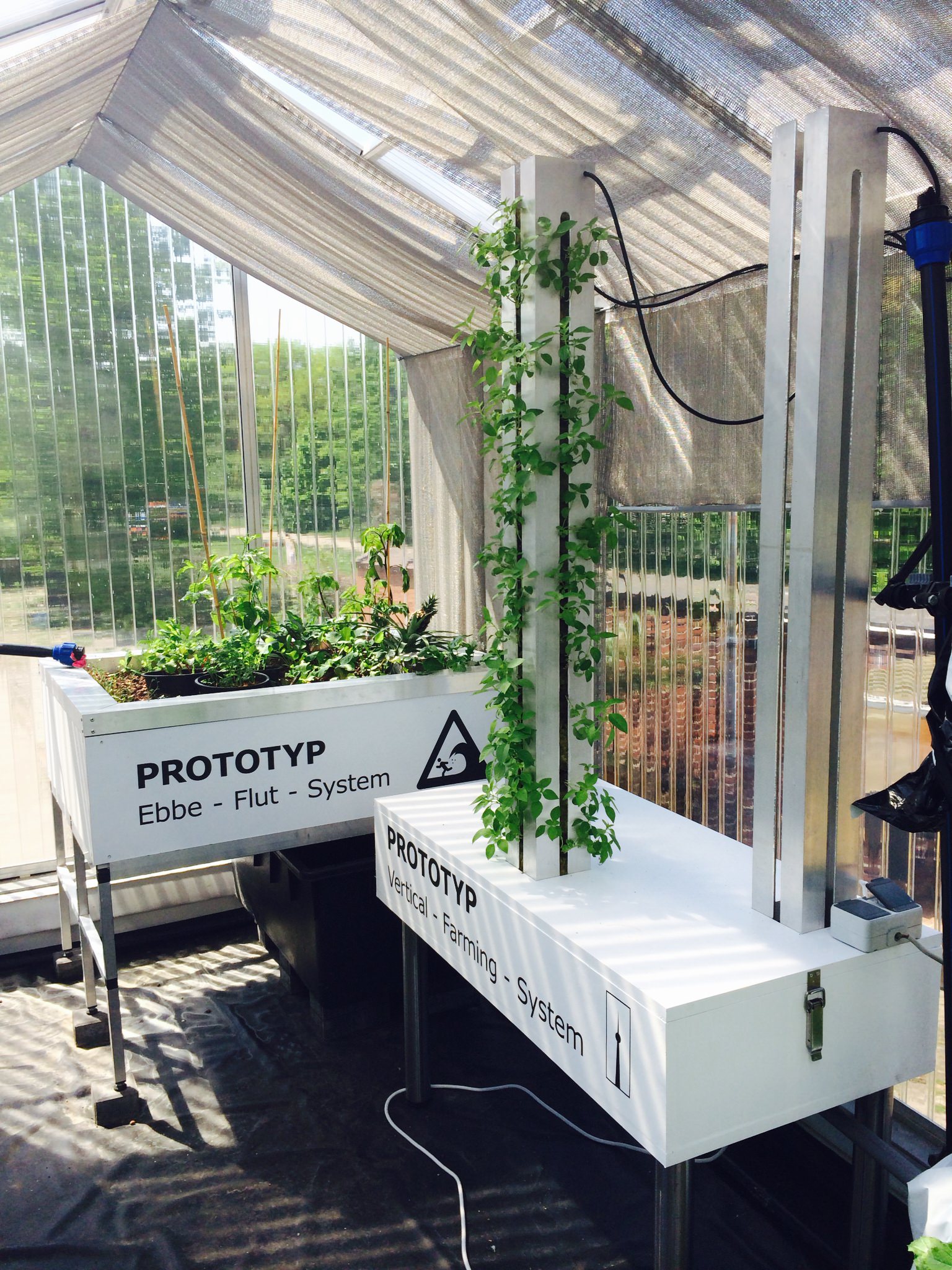 ECF.Containerfarm.Hydroponik.Vertical2