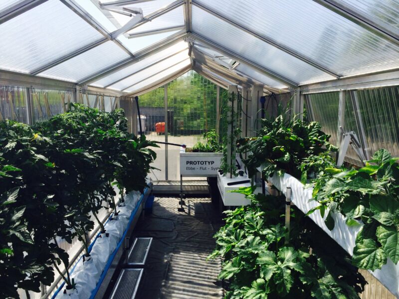 ECF.Containerfarm.Hydroponik.gesamt